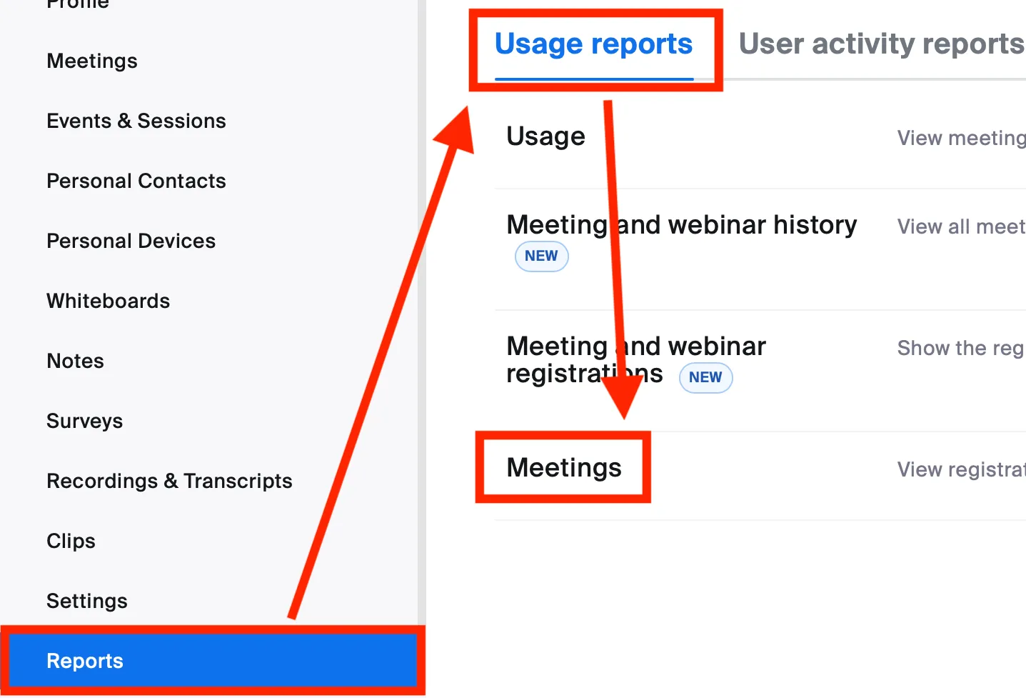 the Reports tab
